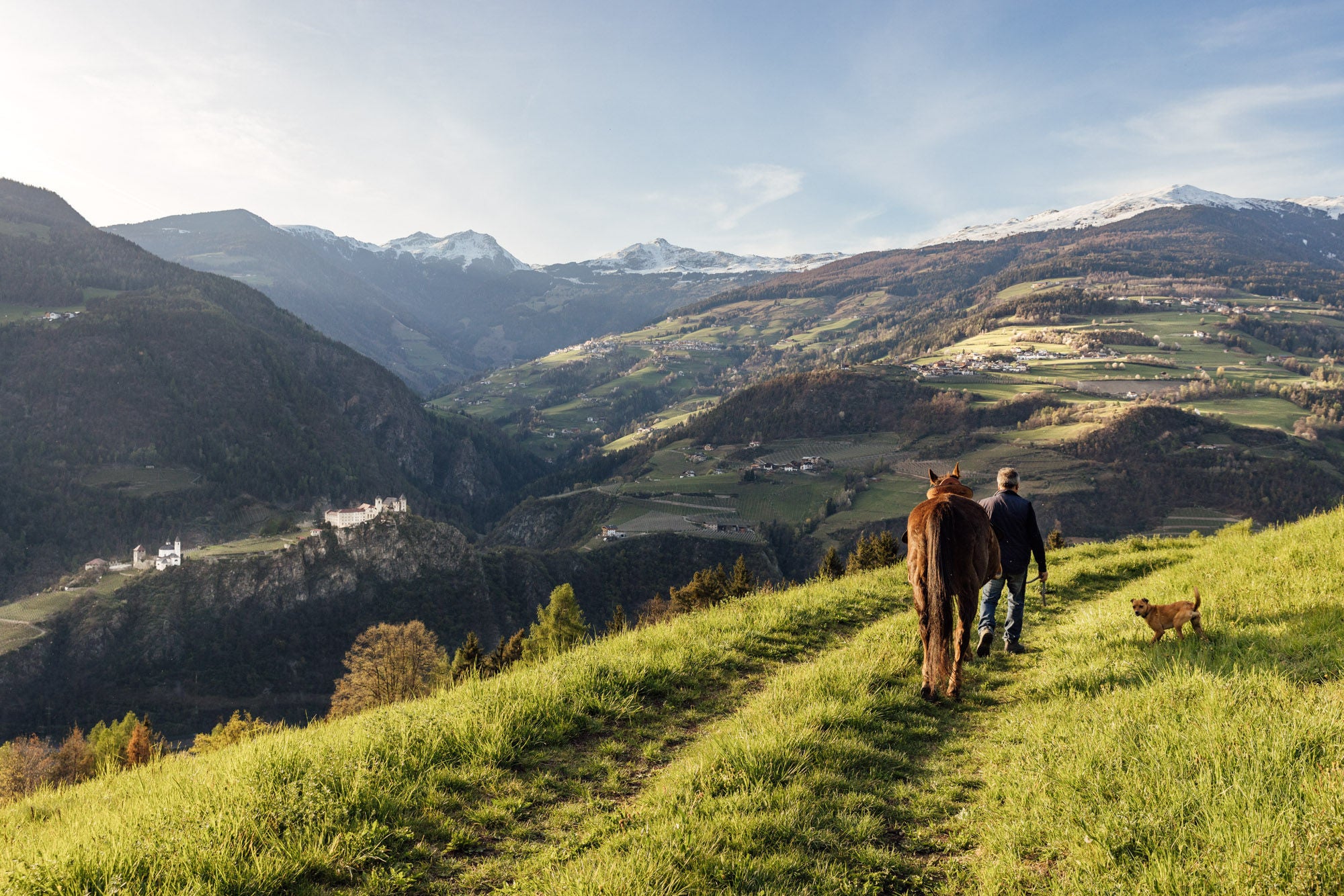 Bauer mit Pferd und Hund auf Feldweg oberhalb von Klausen