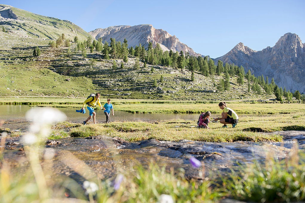 Zwei Kinder, ein Mann und eine Frau machen Rast an einem kleinen Fluss in den Bergen, dahinter erhebt sich der Wald und die Bergspitzen