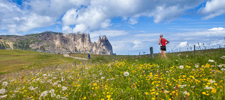 Running experience in South Tyrol's mountains, Dolomites in the background