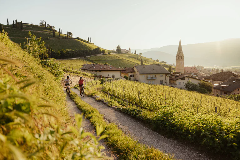 Tour in bicicletta lungo la Strada del Vino dell'Alto Adige
