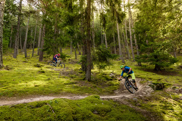 Dwie osoby jadą na rowerach górskich przez las