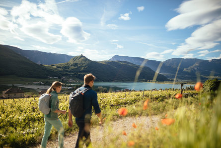 Kobieta i mężczyzna spacerują przez wzgórze pokryte winoroślą nad Kalterer See