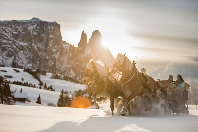 Eine Pferdekutsche fährt durch eine Schneelandschaft, im Hintergund geht langsam die Sonne unter