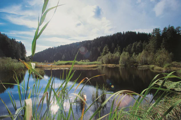 Pohled na jezero v přírodním parku Trudner Horn