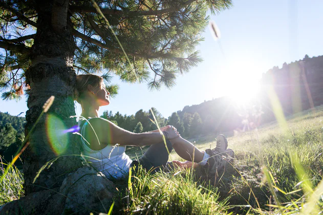 Woman takes a break while hiking, leans against a needle tree and lets the sun shine on her face