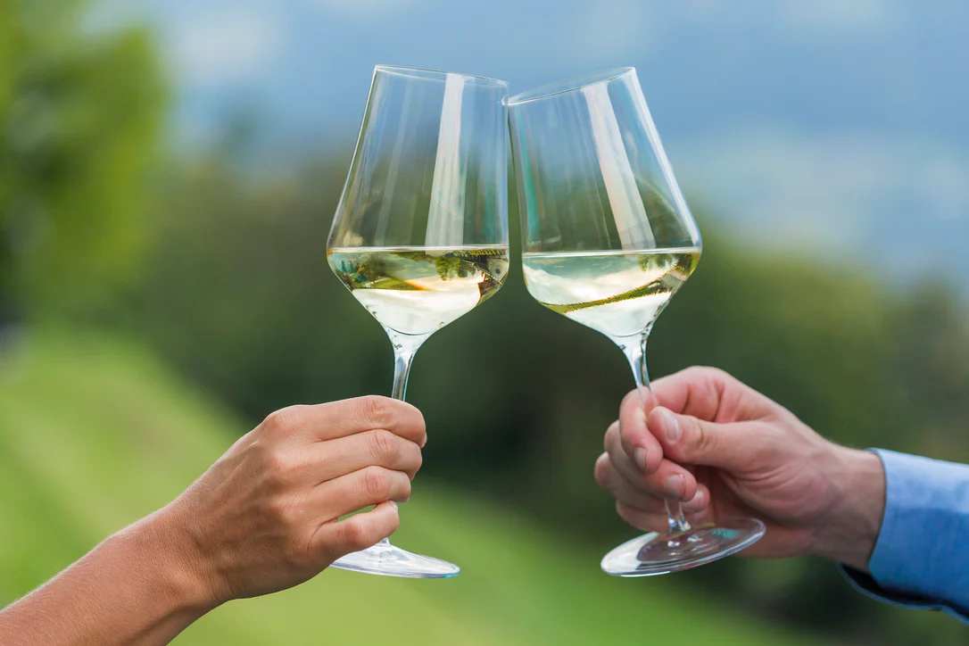 Zwei Hände, die je ein Glas Weißwein halten und miteinander anstoßen