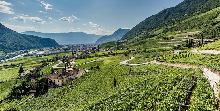 Uitzicht op St. Magdalena/S. Maddalena bij Bolzano/Bozen en een groen landschap bezaaid met wijngaarden