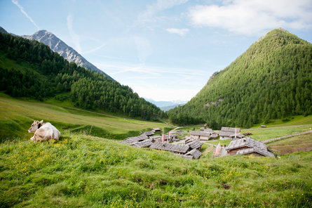 The old Fane Alm Alpine farm and mountain village is surrounded by green meadows.