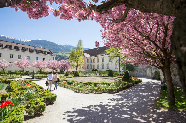 Twee wandelaars lopen tussen de roze bloeiende kersenbomen in de kasteeltuin van de oude Hofburg in Brixen.