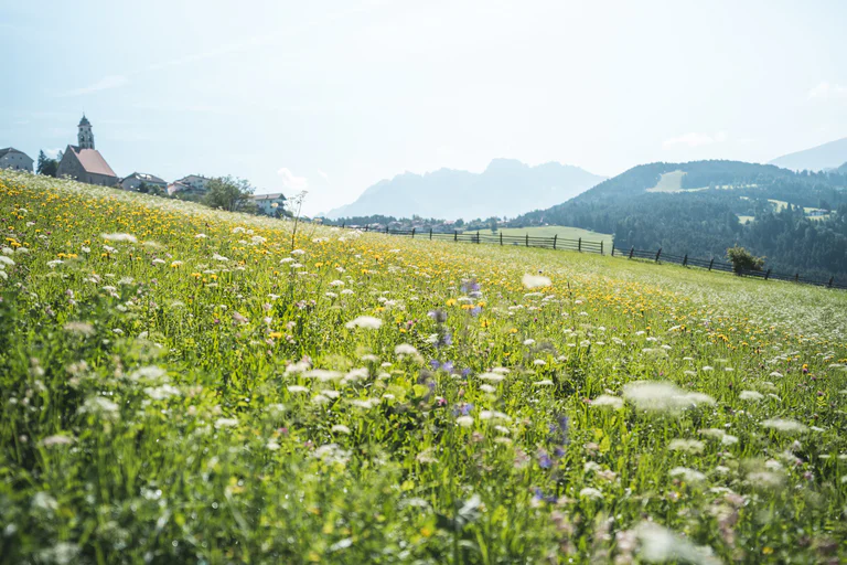Deutschnofen uprostřed zelených luk s panoramatickým výhledem do údolí