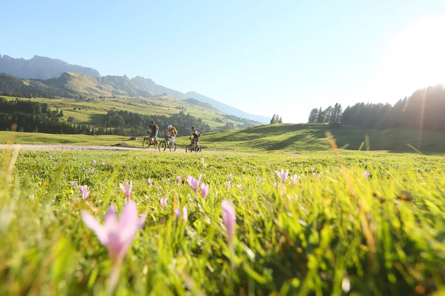 Vista sul soleggiato e fiorito altipano dell'Alpe di Siusi. Al centro alcuni tre persone in mountain-bike sul percorso.