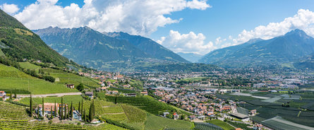View from Marling of green mountains, vineyards and the town of Meran.