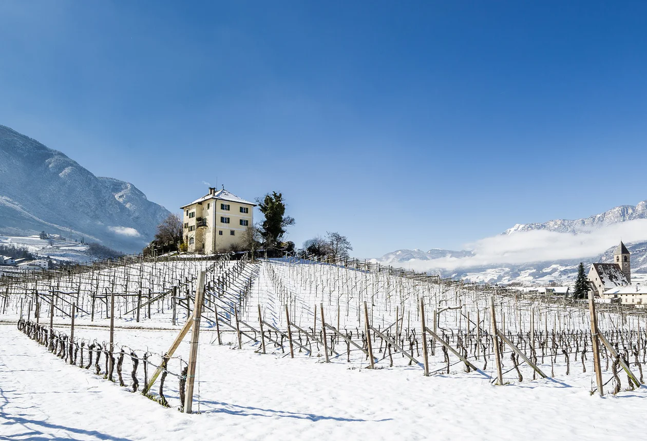 South Tyrolean Wine Road