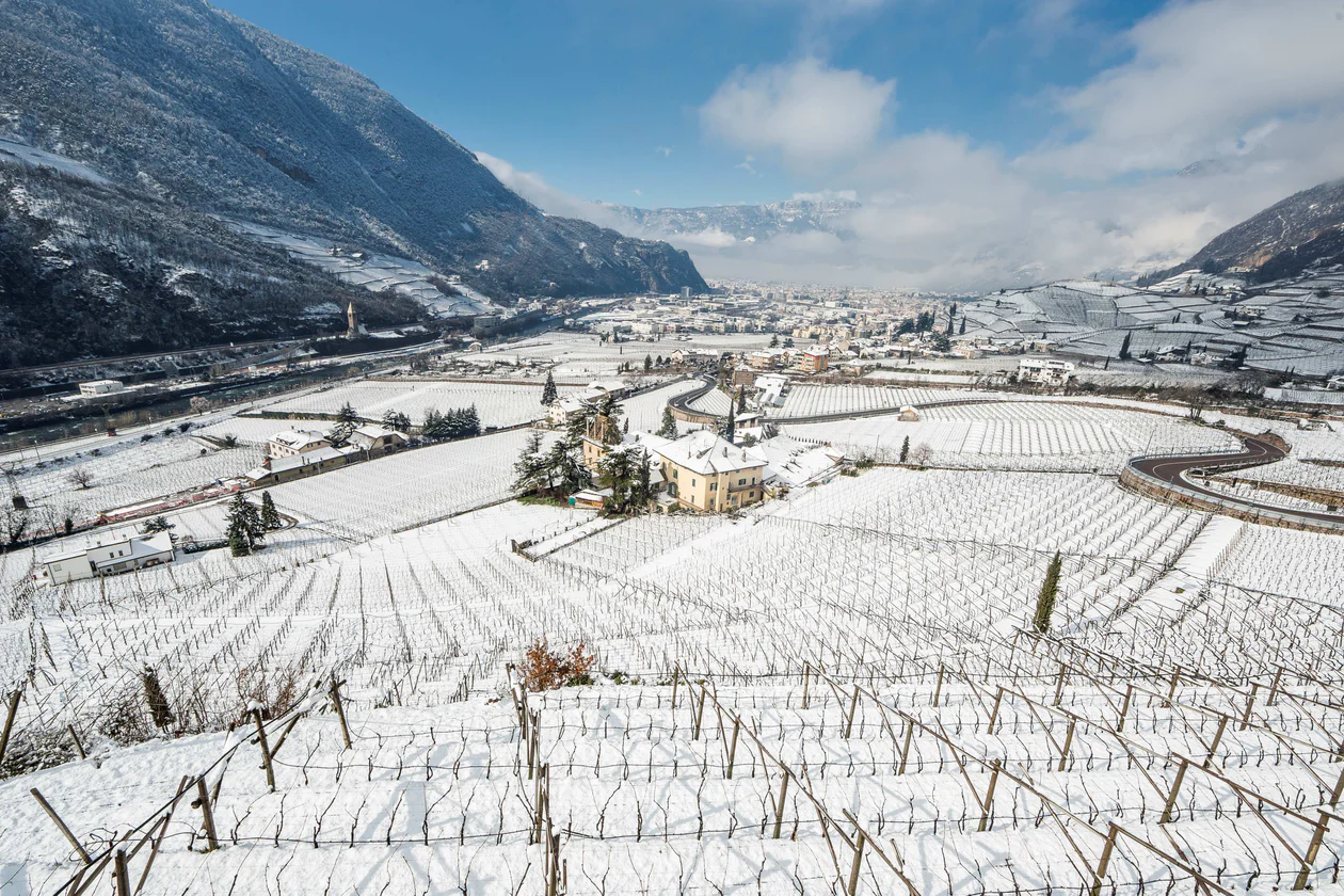 Bolzano/Bozen and environs