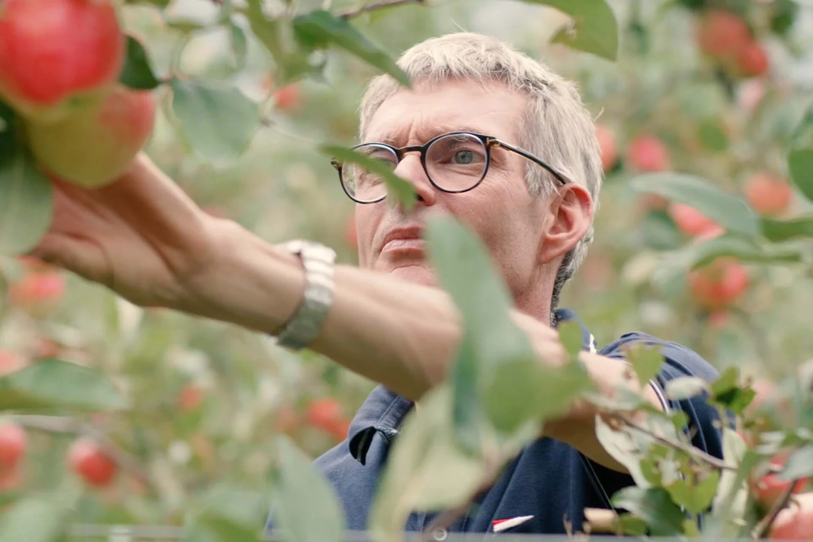 Il coltivatore di mele e produttore di frutta essiccata Michael Komiss 