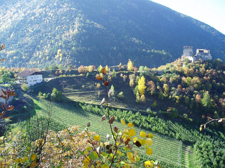 Ferienwohnungen Schlosshof zu Montani Latsch 10 suedtirol.info
