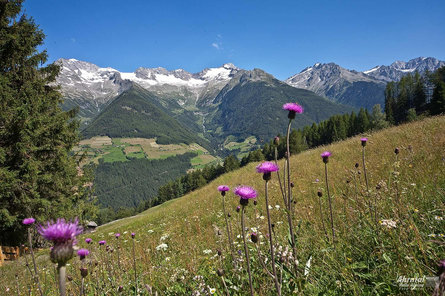 Mountain tour at the Schaufler Ahrntal/Valle Aurina 1 suedtirol.info