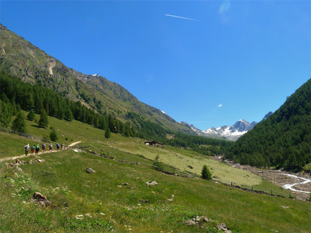 Merano High Mountain Trail Stage Suggestion No. 3: from Monte S. Caterina/Katharinabger to Mountian pasture Eishof Schnals/Senales 2 suedtirol.info