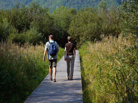 Circular Hike: Kalterer See Lake Kaltern an der Weinstraße/Caldaro sulla Strada del Vino 3 suedtirol.info