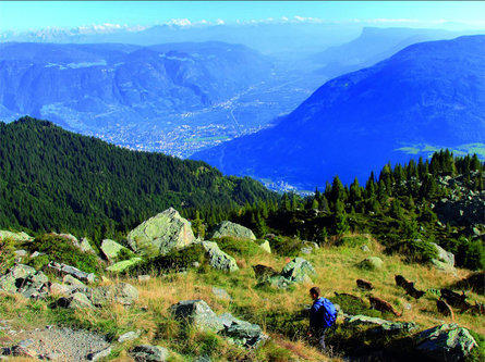 Tschigat (3,000 m) from the Leiter Alm mountain hut Algund/Lagundo 5 suedtirol.info