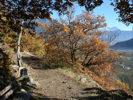 Da Parcines al sentiero panoramico Monte Sole Parcines 7 suedtirol.info