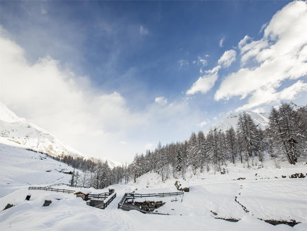 Escursione invernale da Plan alla Valle di Lazins Moso in Passiria 3 suedtirol.info