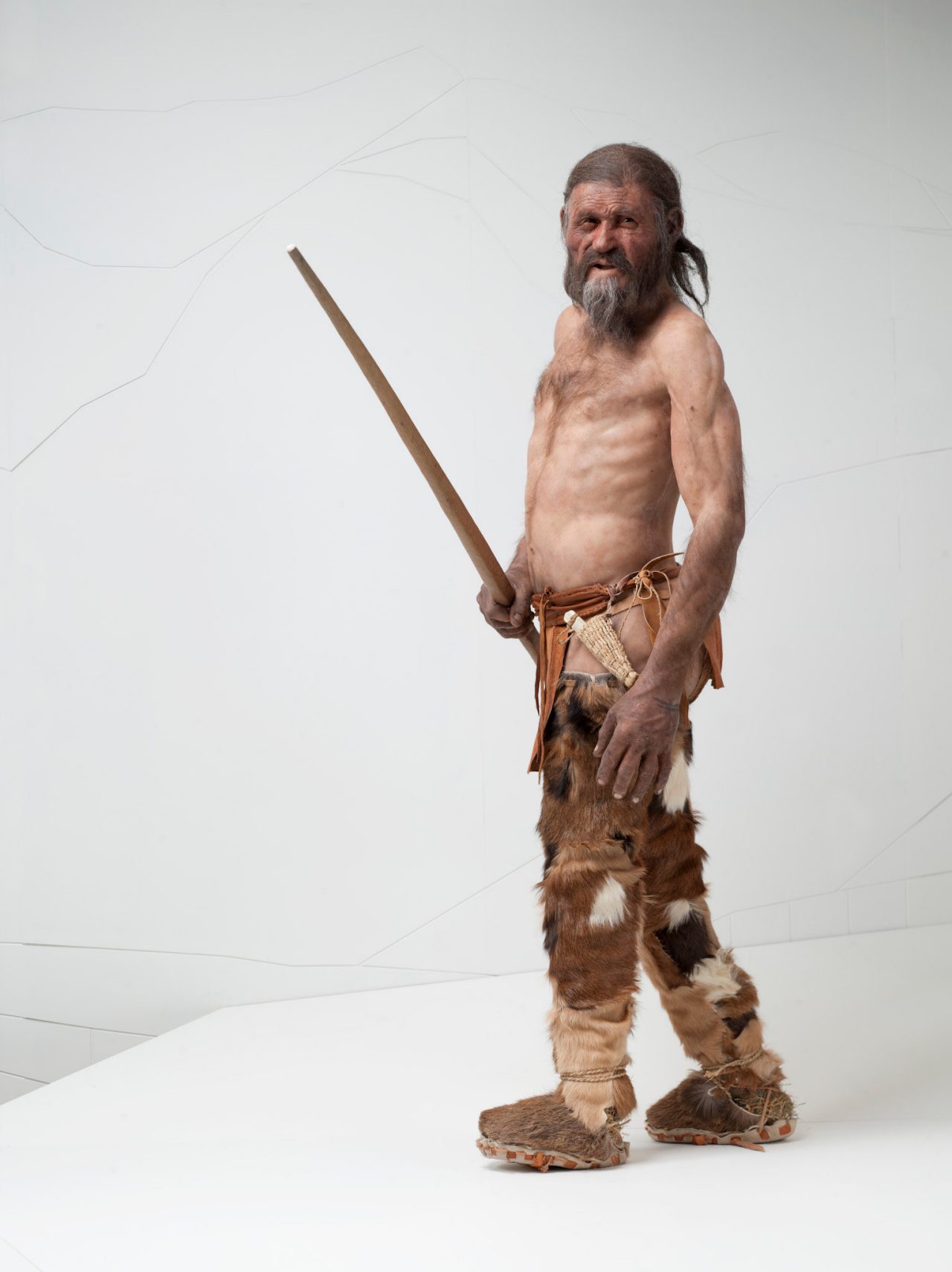 Lebengroße Nachbildung von Ötzi im Südtiroler Archäologiemuseum, wie er zu Lebzeiten ausgesehen habe könnte