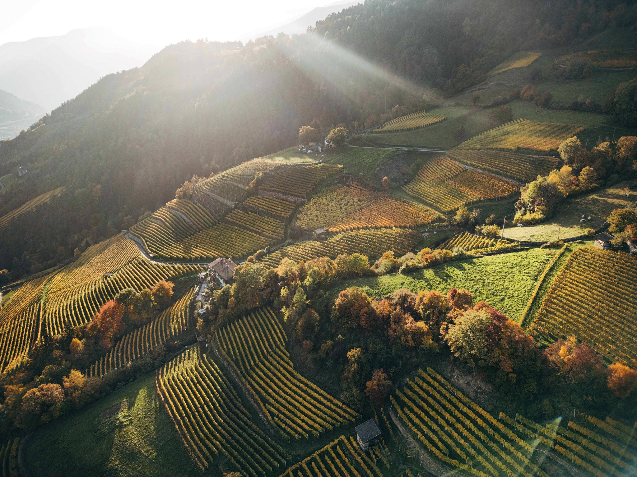 Bunt gefärbte Weinberge oberhalb von Klausen