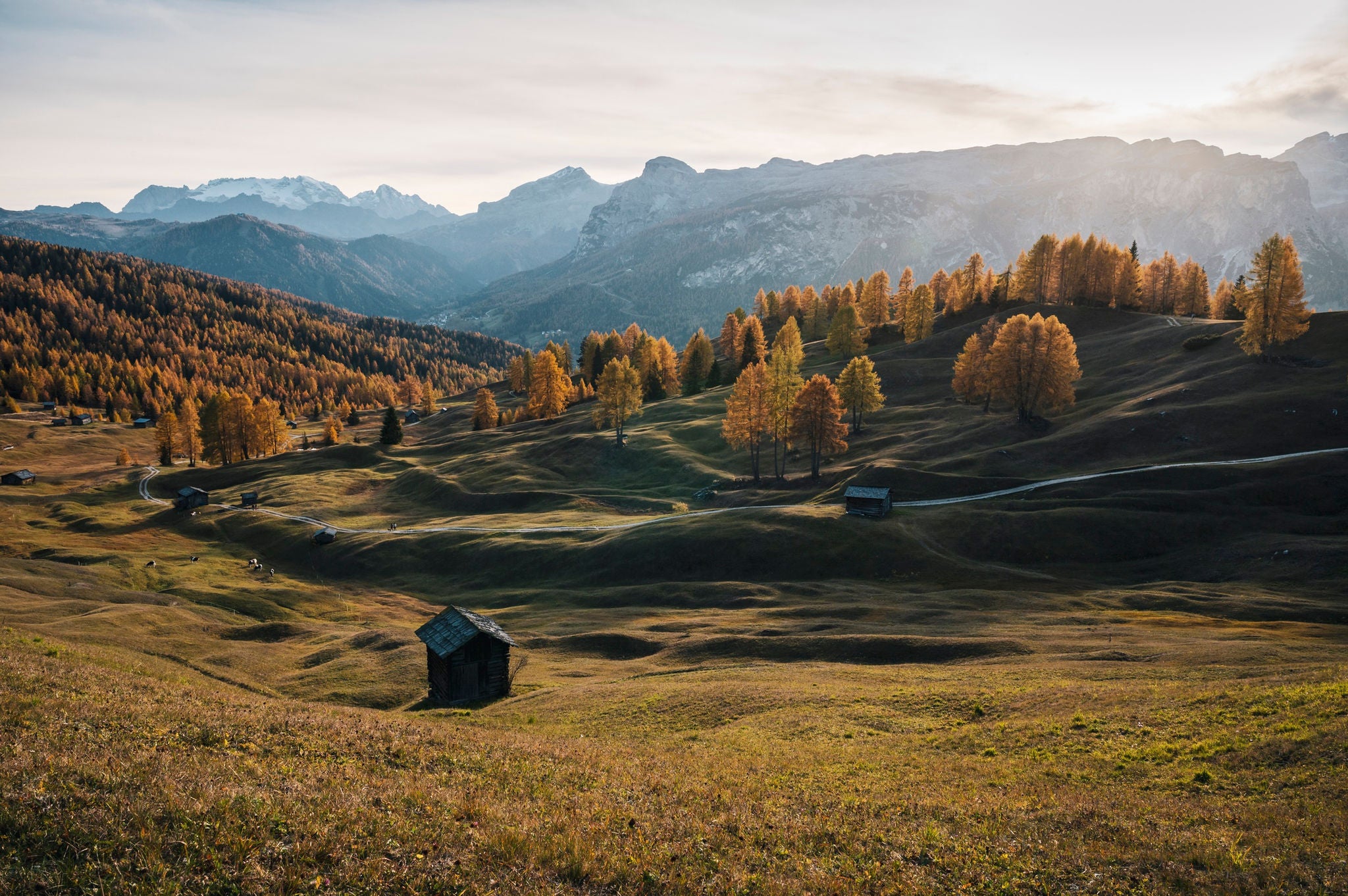Herbstliche Wiesen und Bäume während der Foliage in Alta Badia