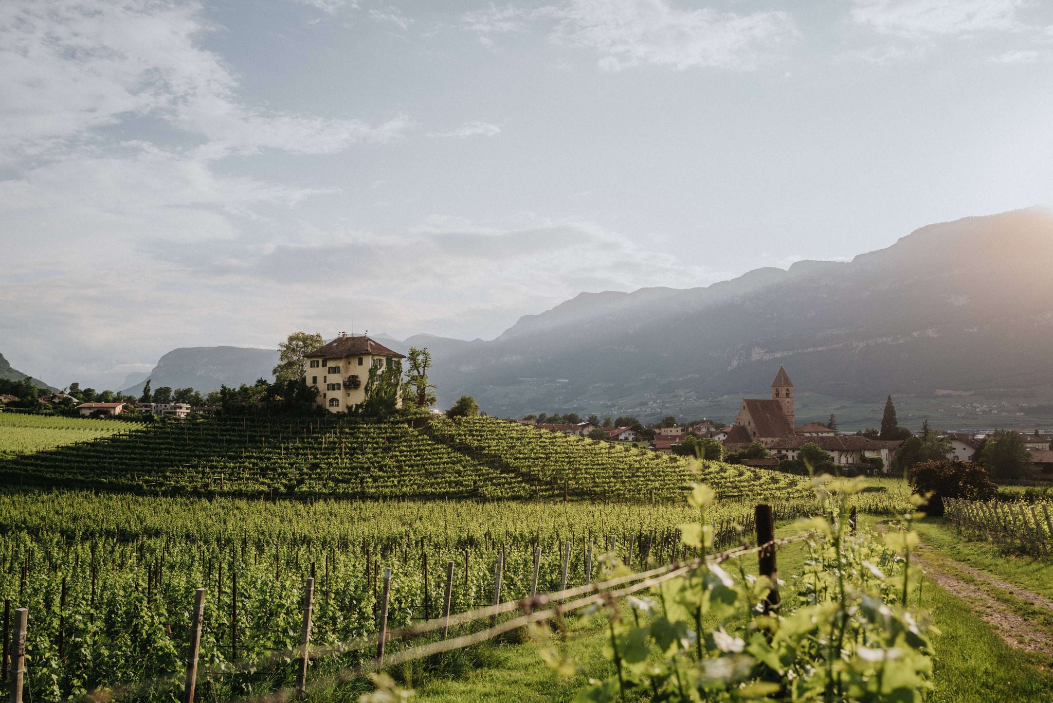Ein Weingut bei Neumarkt