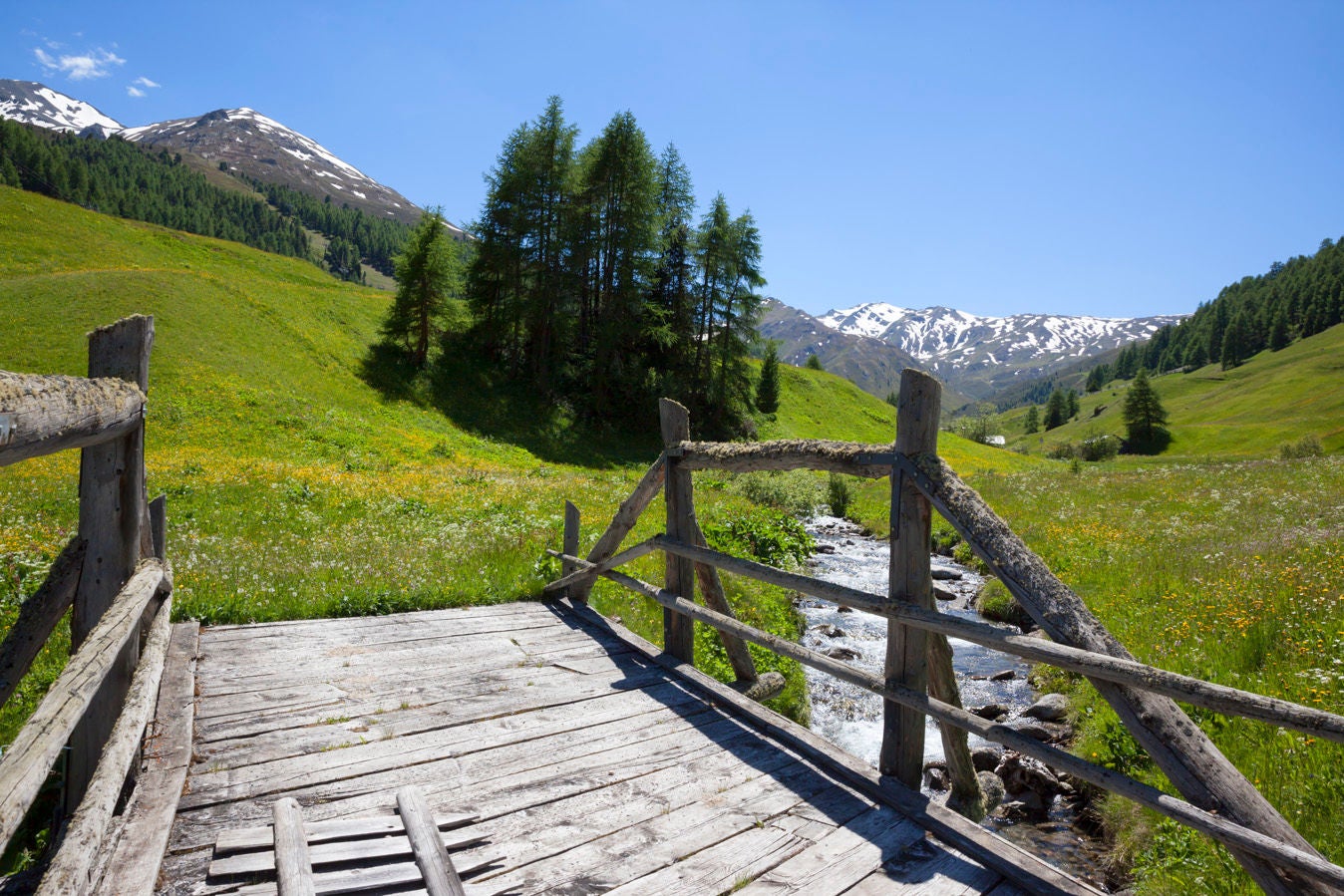 Holzbrücke über einen Gebirgsbach im ruhigen Rojental, einem Seitental des Vinschgaus, umgeben von grünen Almwiesen und verschneiten Gipfeln.