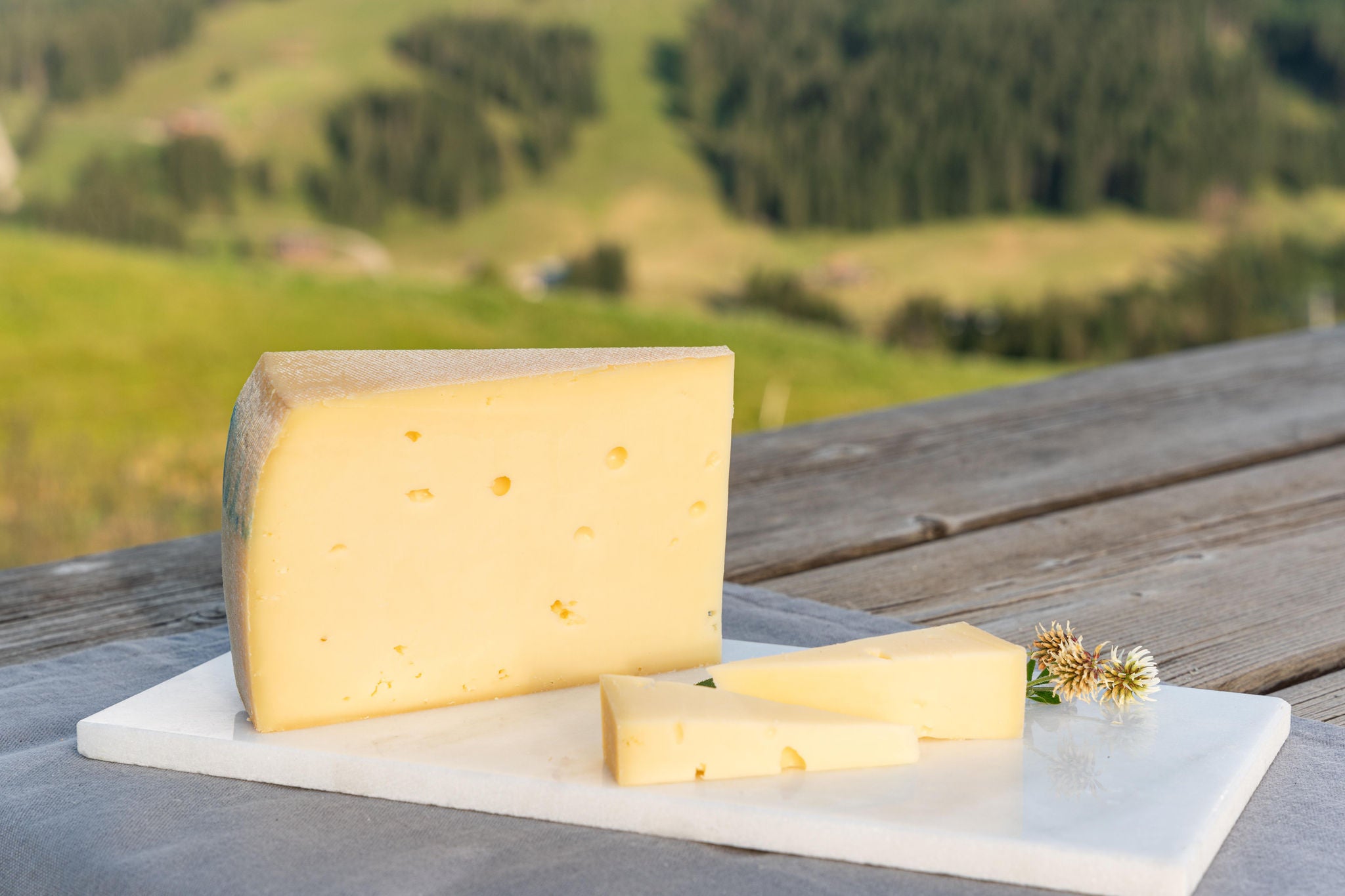 Käse mit Heumilch im Gebirge
