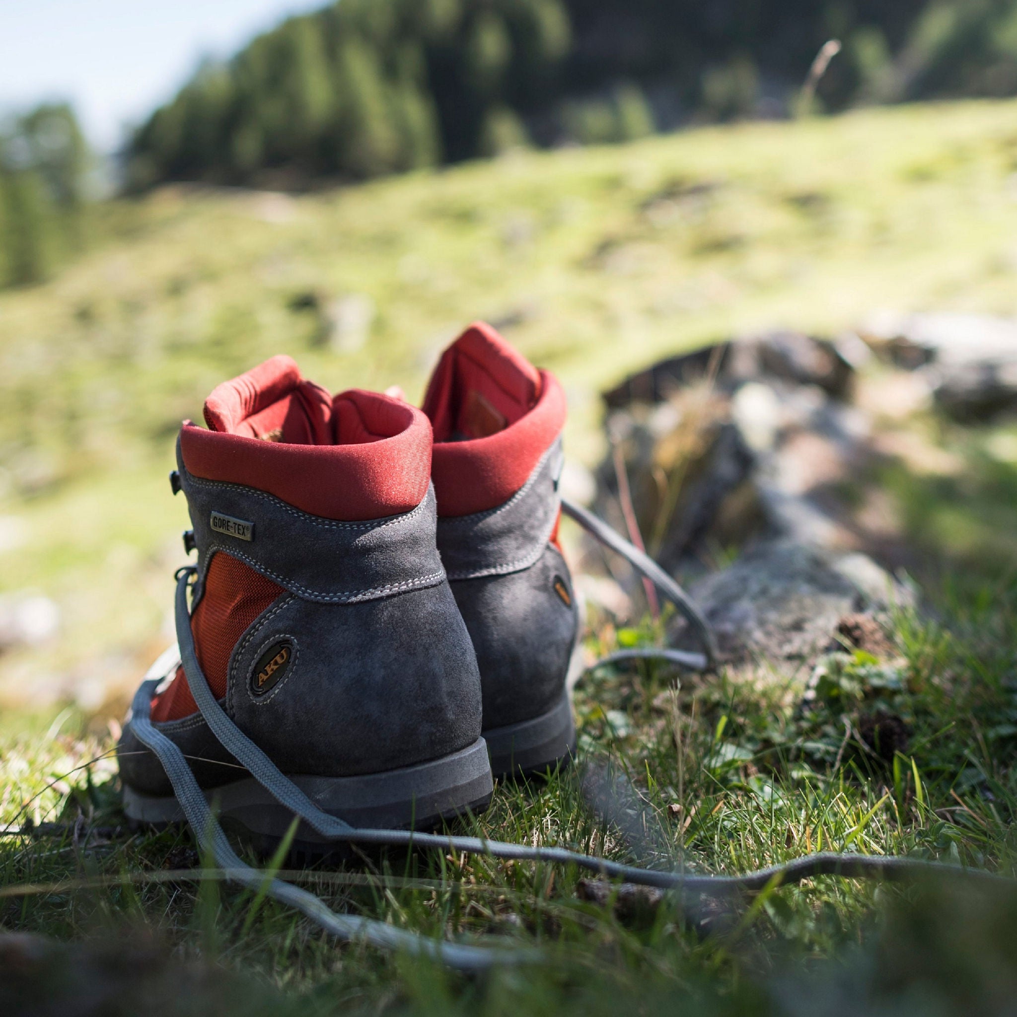 Zwei Wanerschuhe stehen auf einer Wiese im Sommer