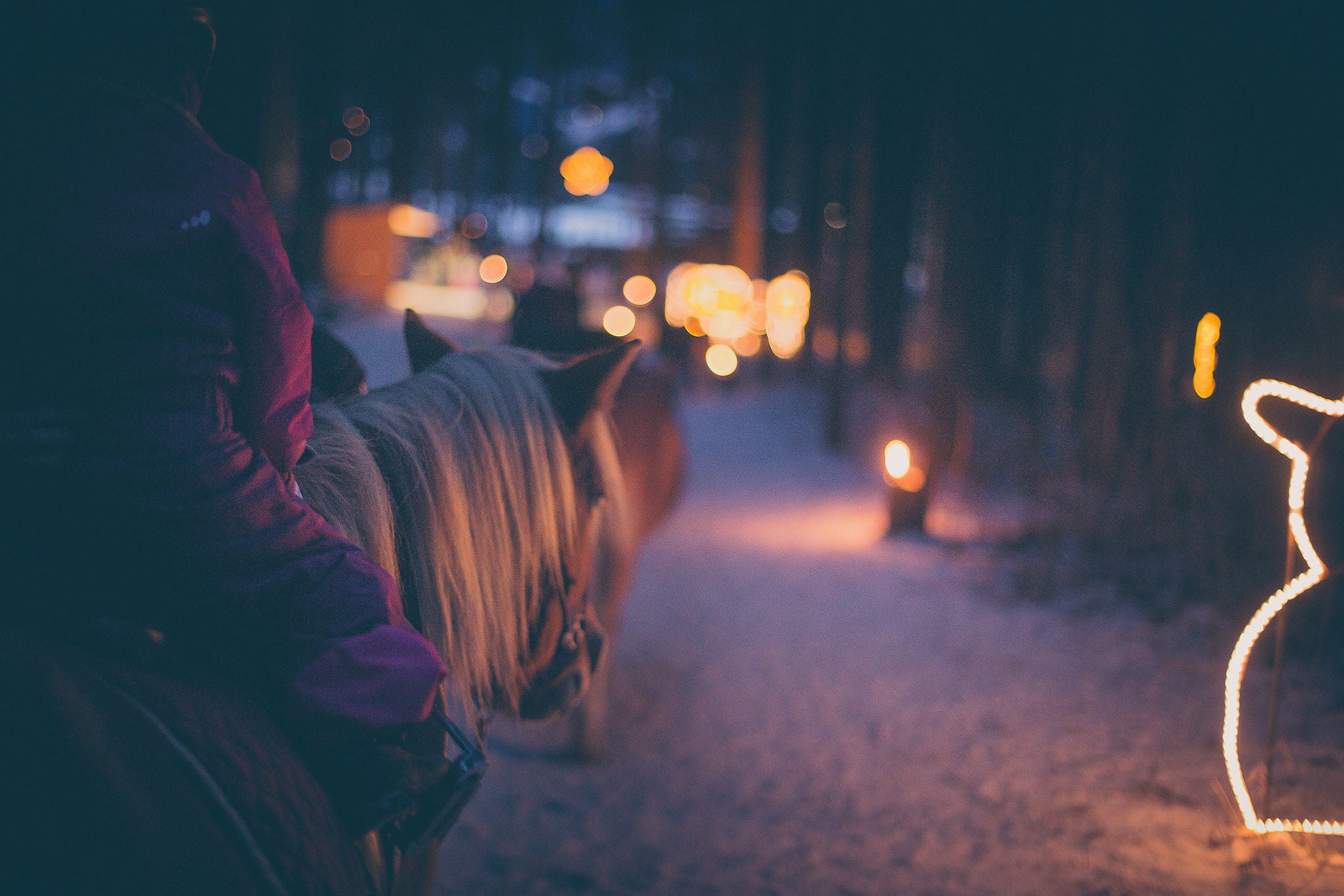 Pferdereiten auf dem Tauferer Advent