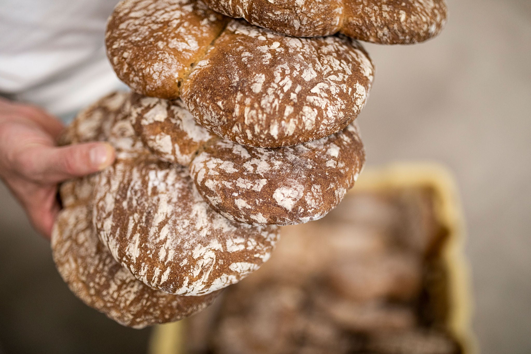 EIne Person hält Paarlbrot auf dem Vinschgau in den Händen