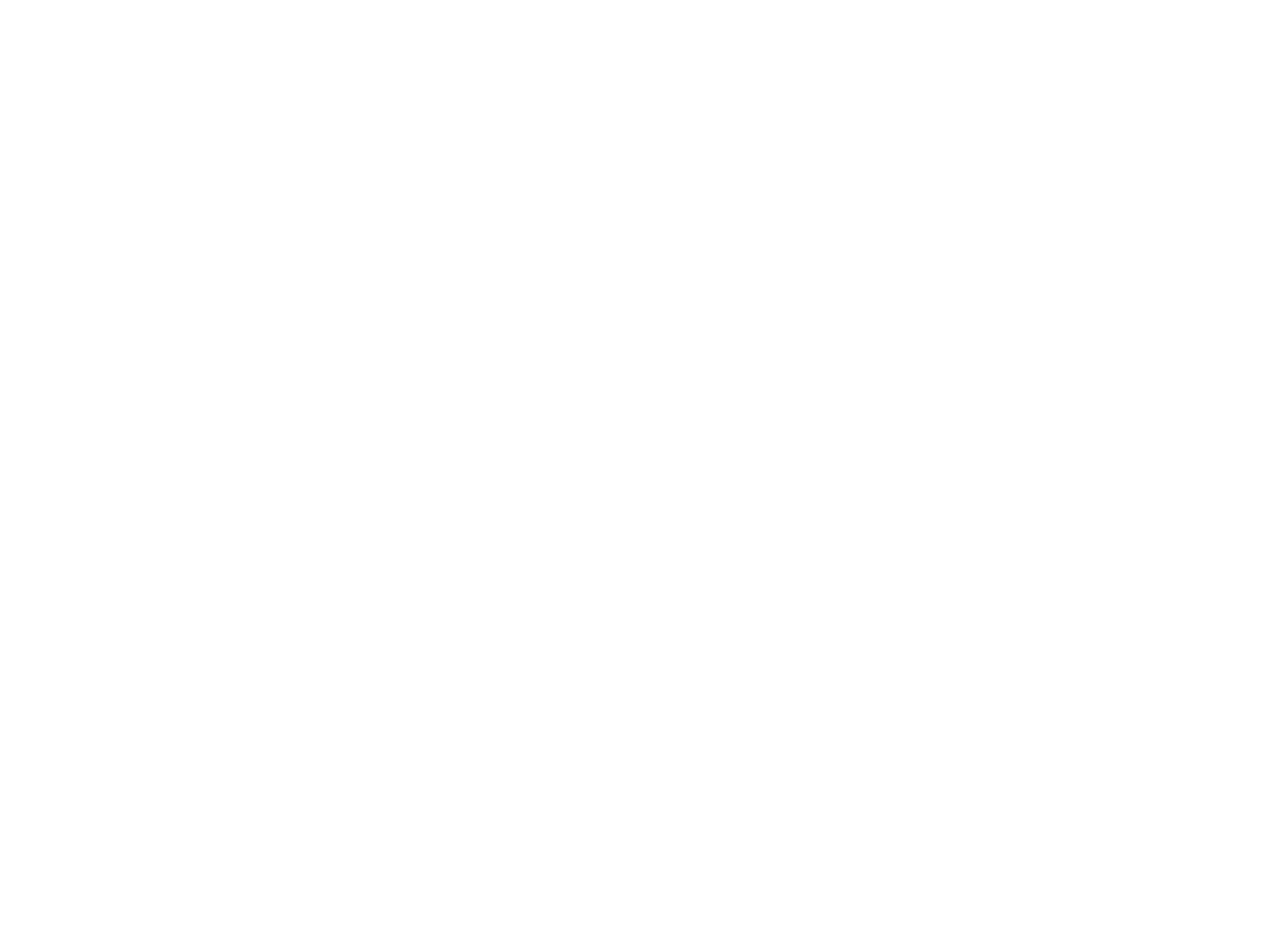 Vitalpina Logo negativ