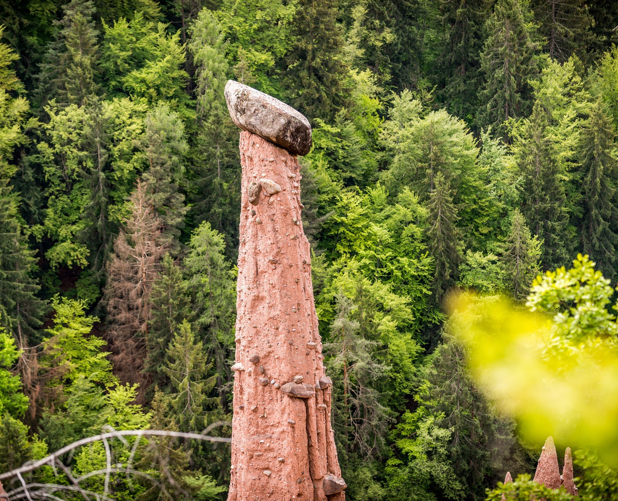 Erdpyramiden Ritten