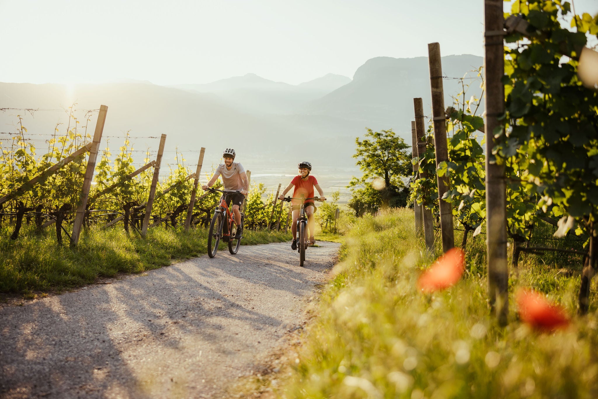 Zwei Radfahrer im Frühling entlang der Südtiroler Weinstraße