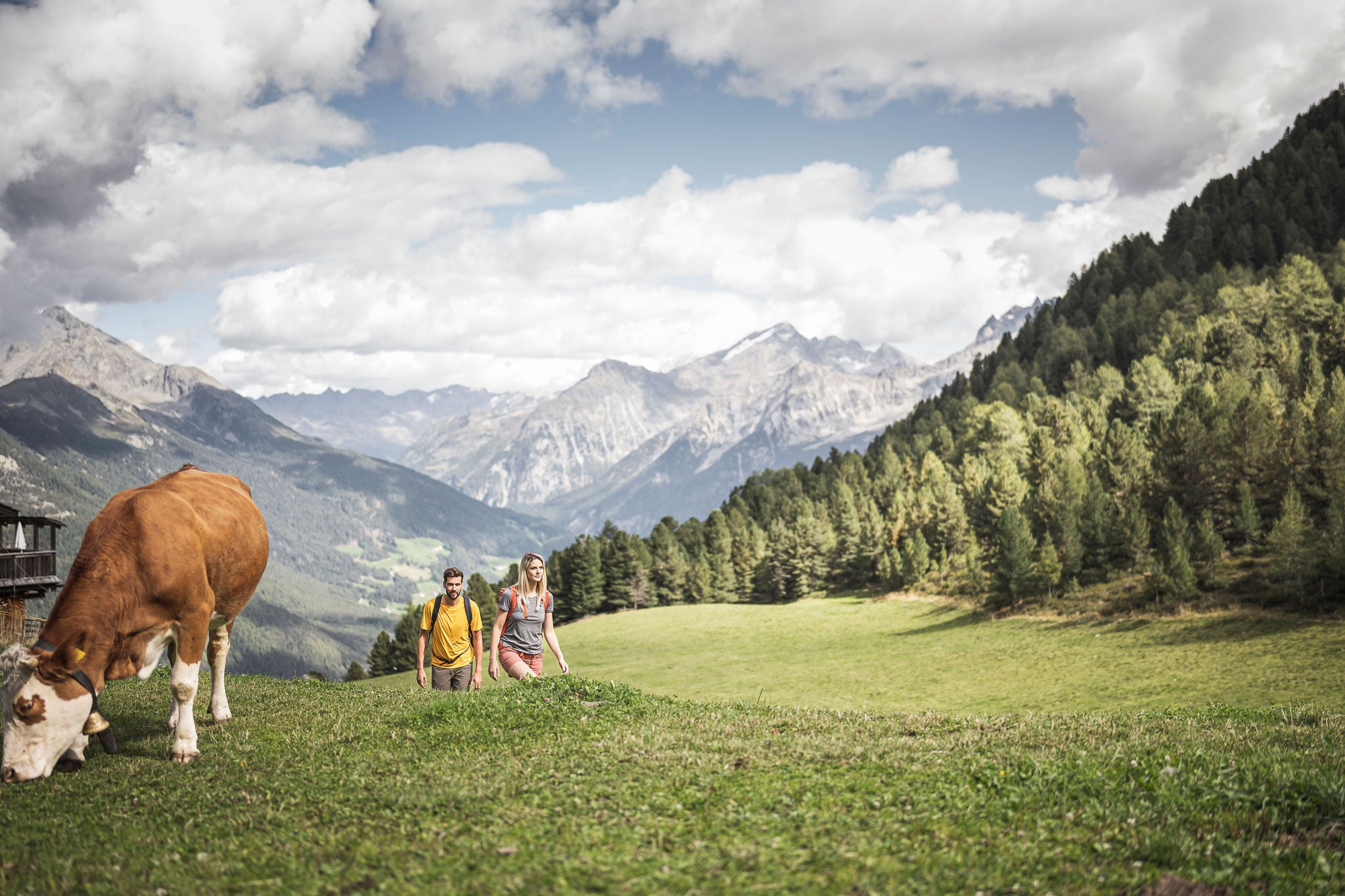 Wandern im Ahrntaler Herbst