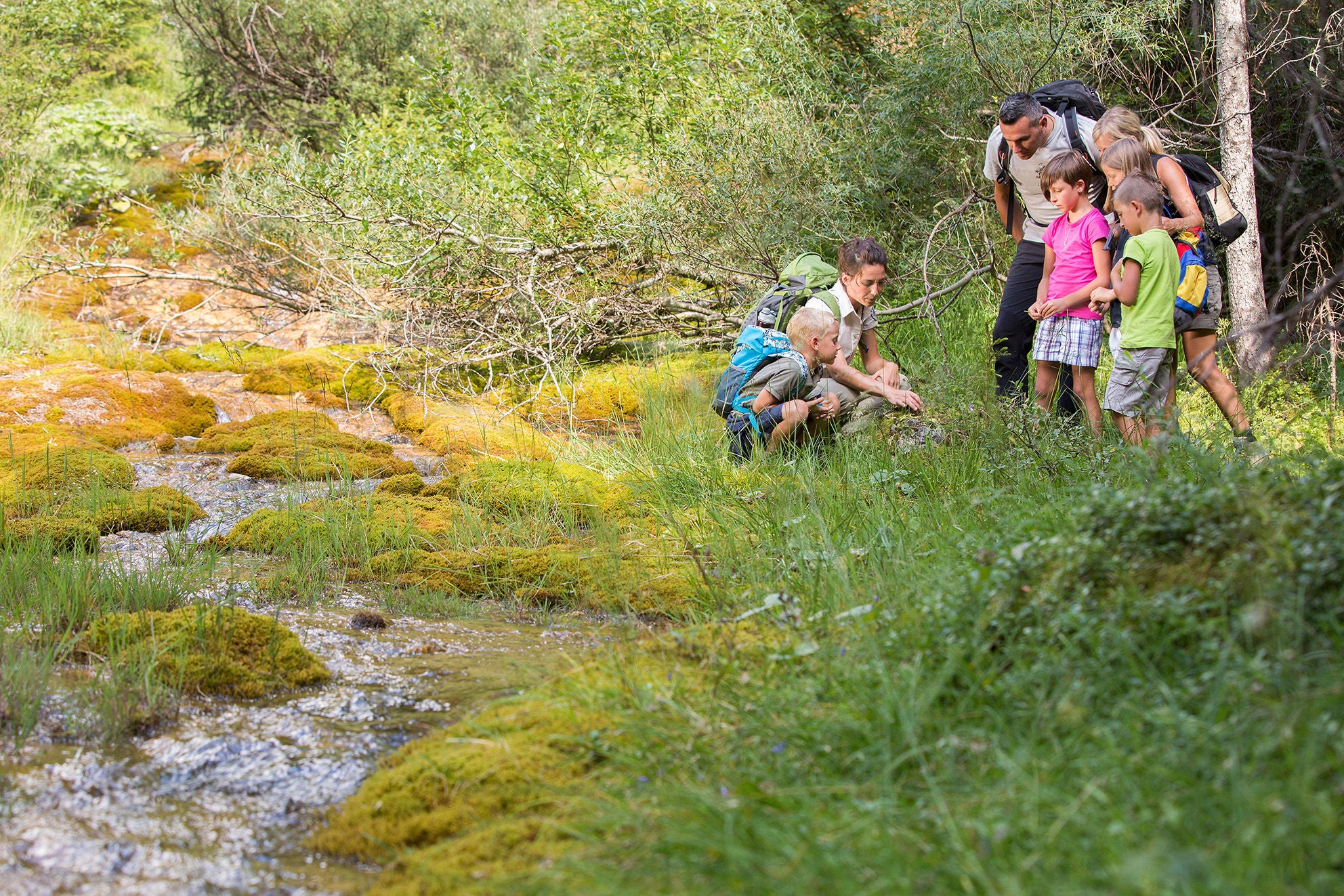 Eine Gruppe von Kindern entdeckt die Natur