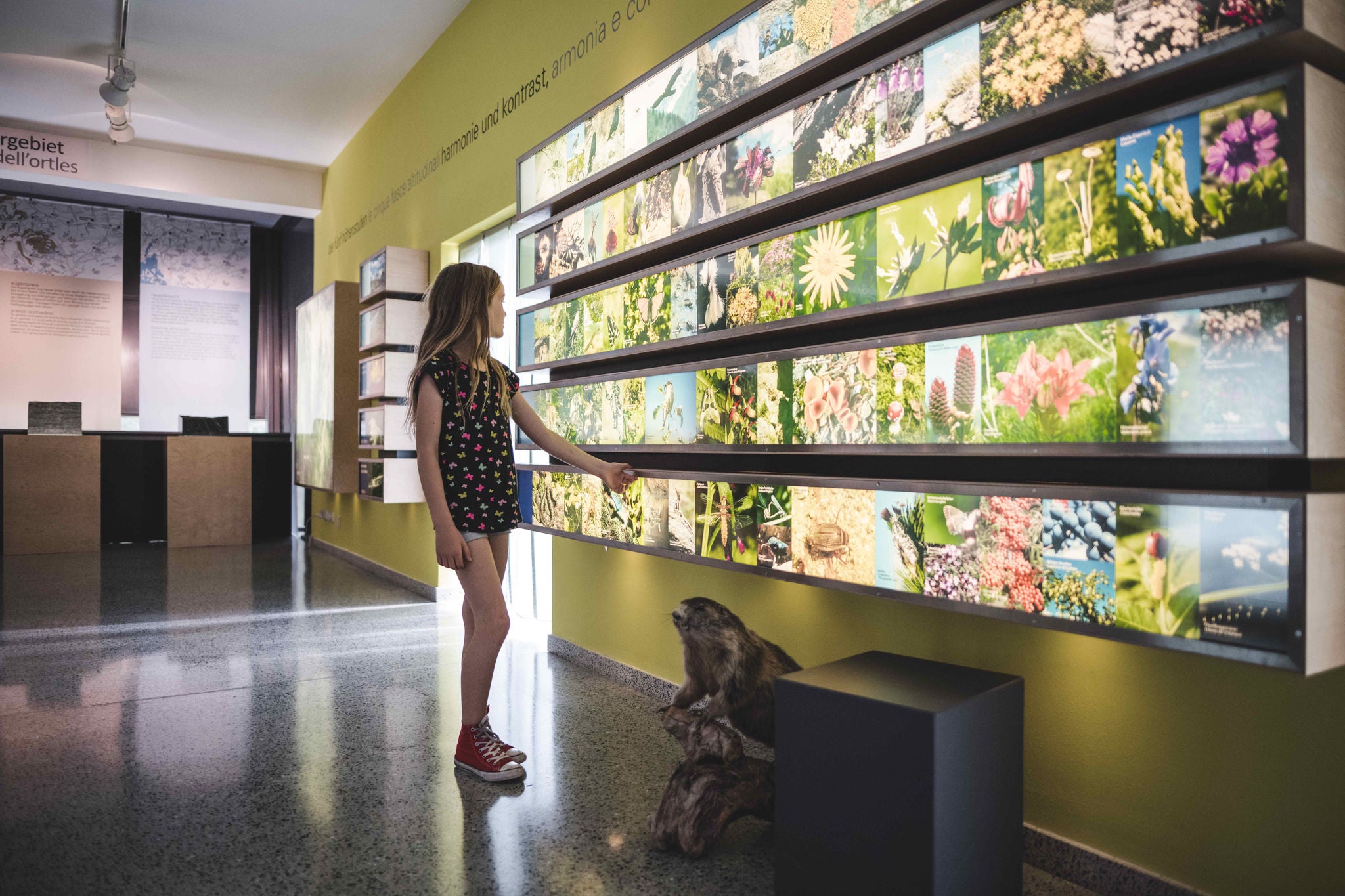 Das Besucherzentrum Naturatrafoi