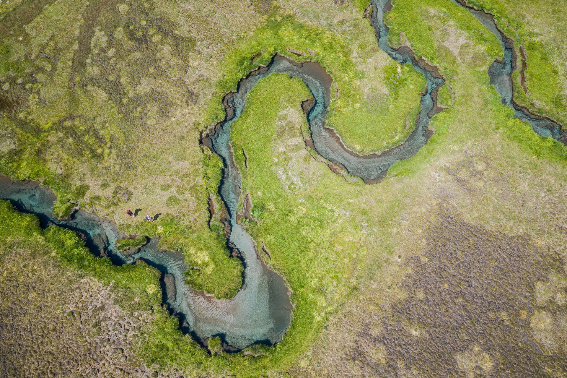 Moorlandschaft des Biotops Wiesa Werfa in Kasern /Ahrntal