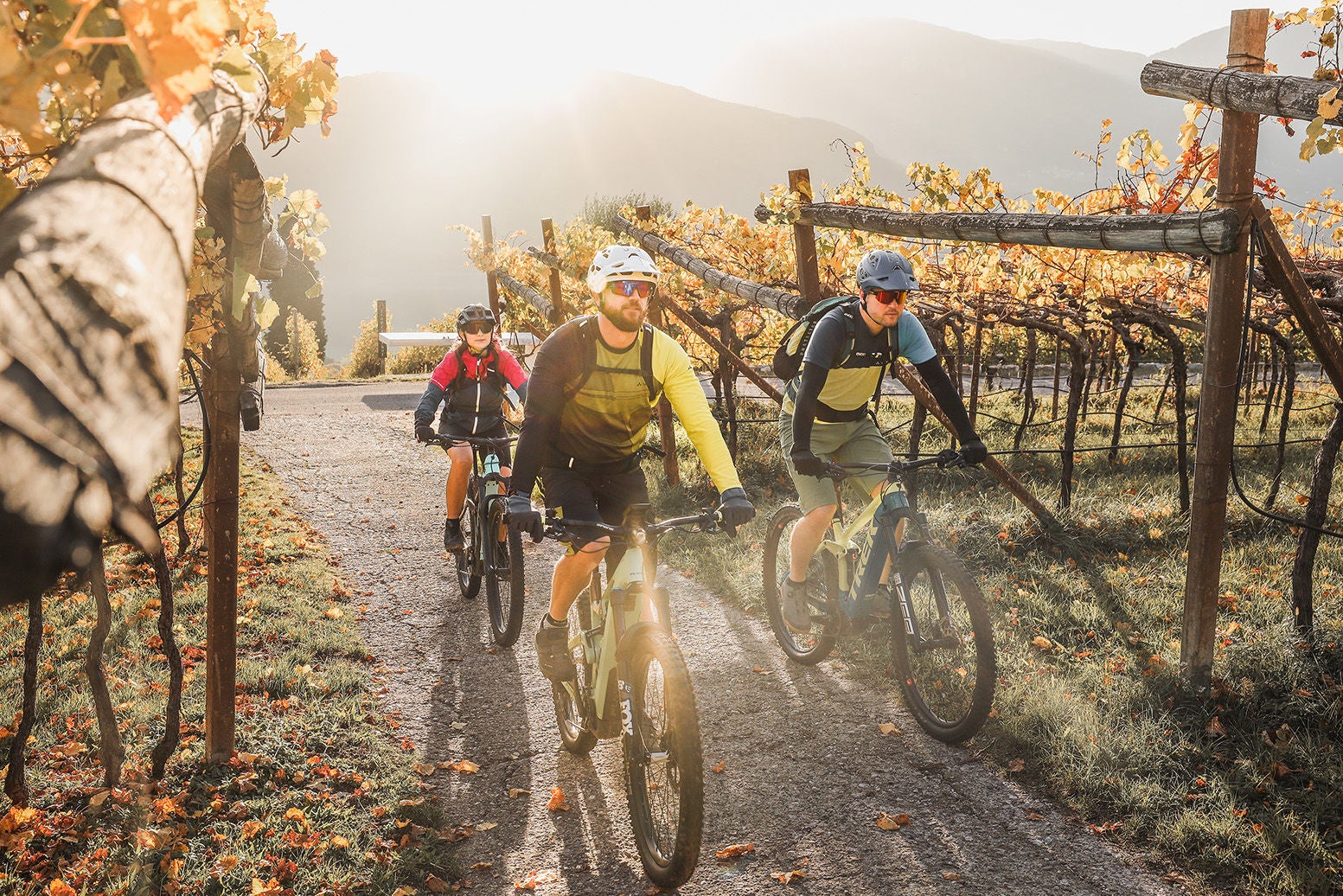 Mountainbiken im Herbst durch Weinreben