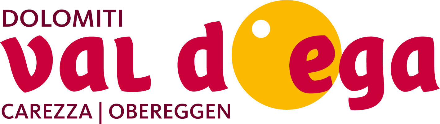Valdega Logo
