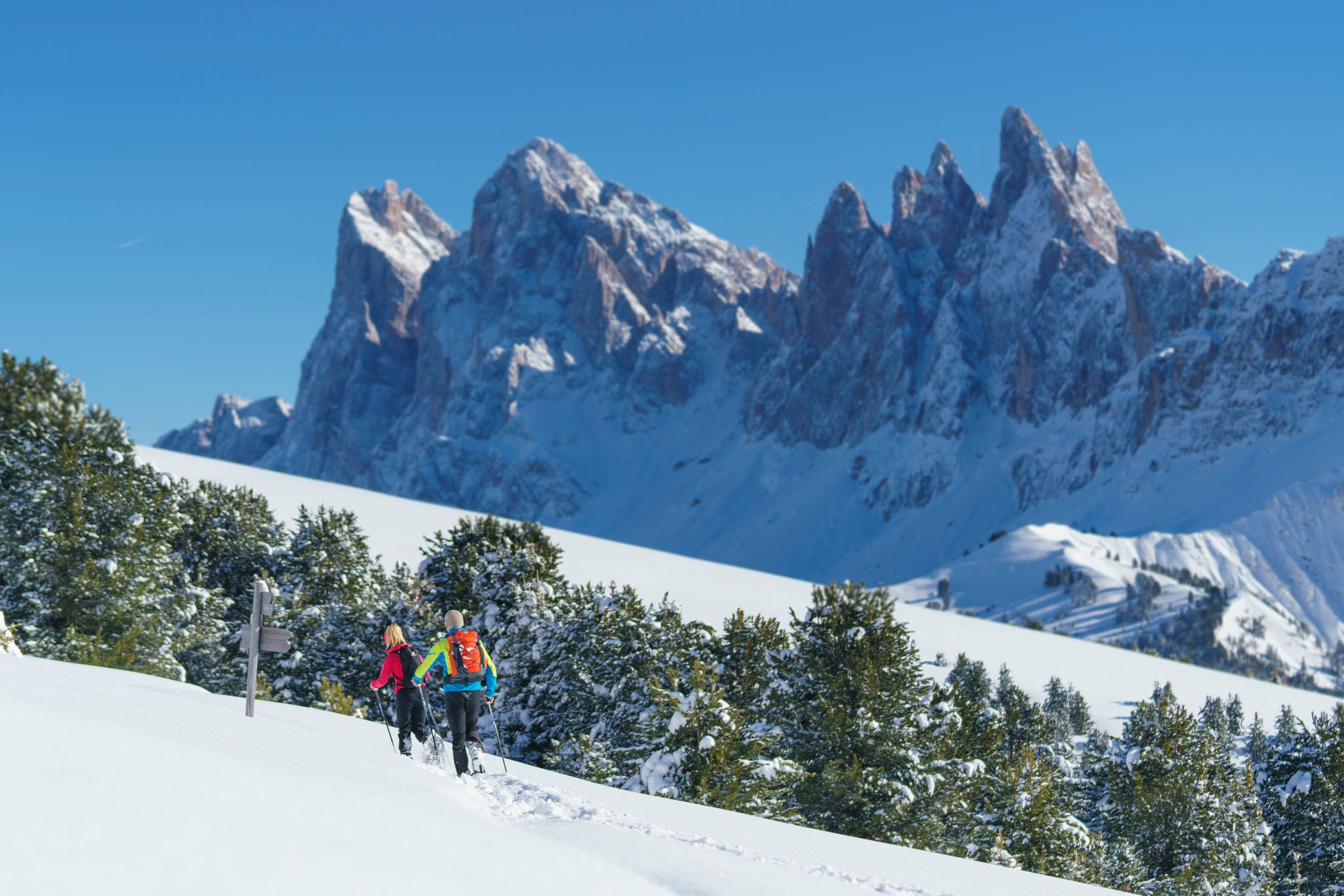 Schneeschuhtour Raschötz-Geisleralm: Geislerspitzen im Hintergrund