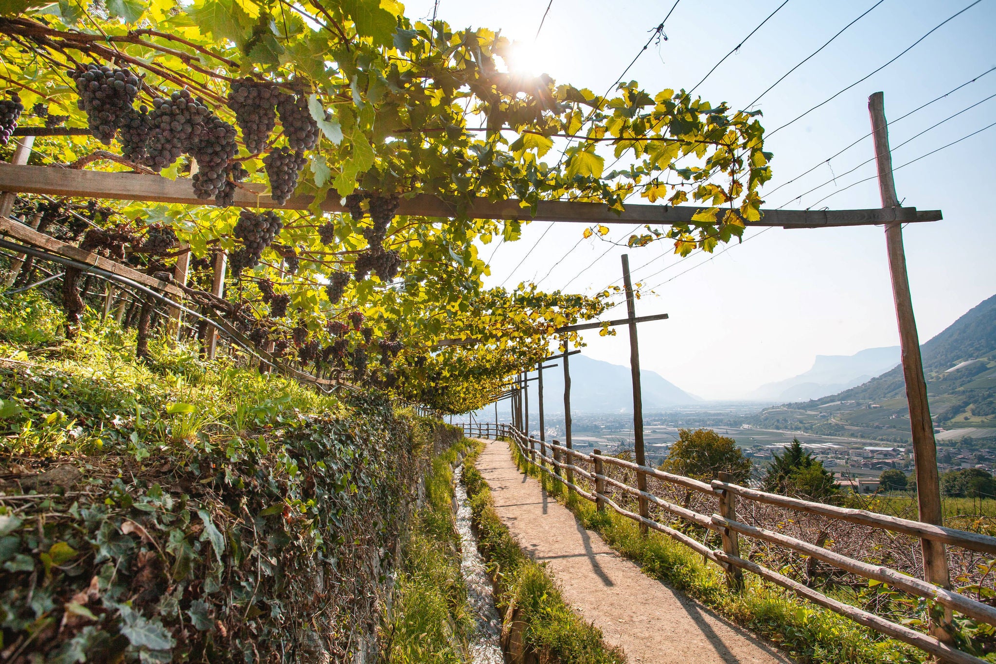 Waalweg in Meran und Umgebung