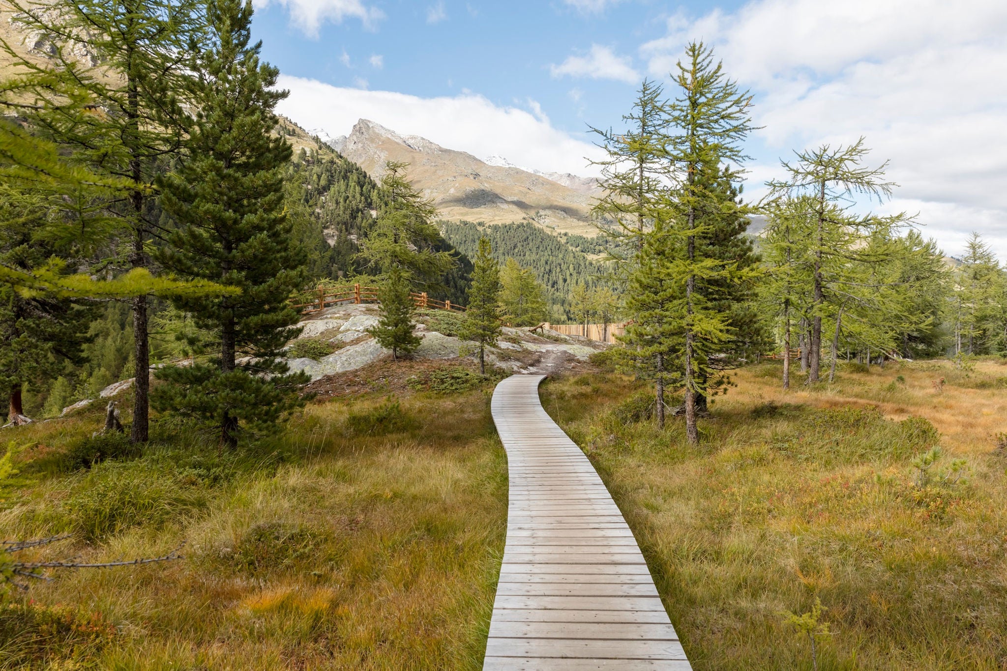 Suedtirol, Vinschgau, Martelltal, vom Talschluss Weg zur Zufallhuette, Weg durch Hochmoor zur Panoramasichel,