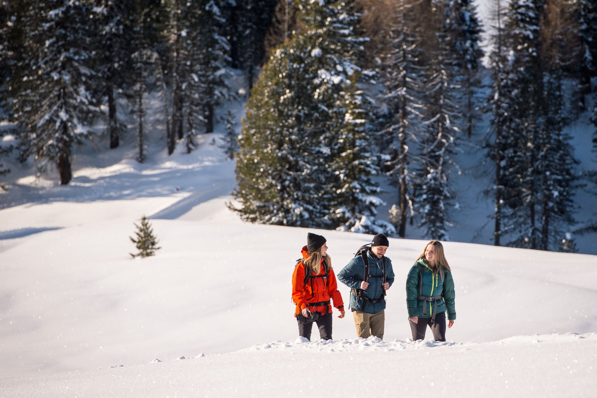 Winterwanderung durch einen Wald im Pragser Tal