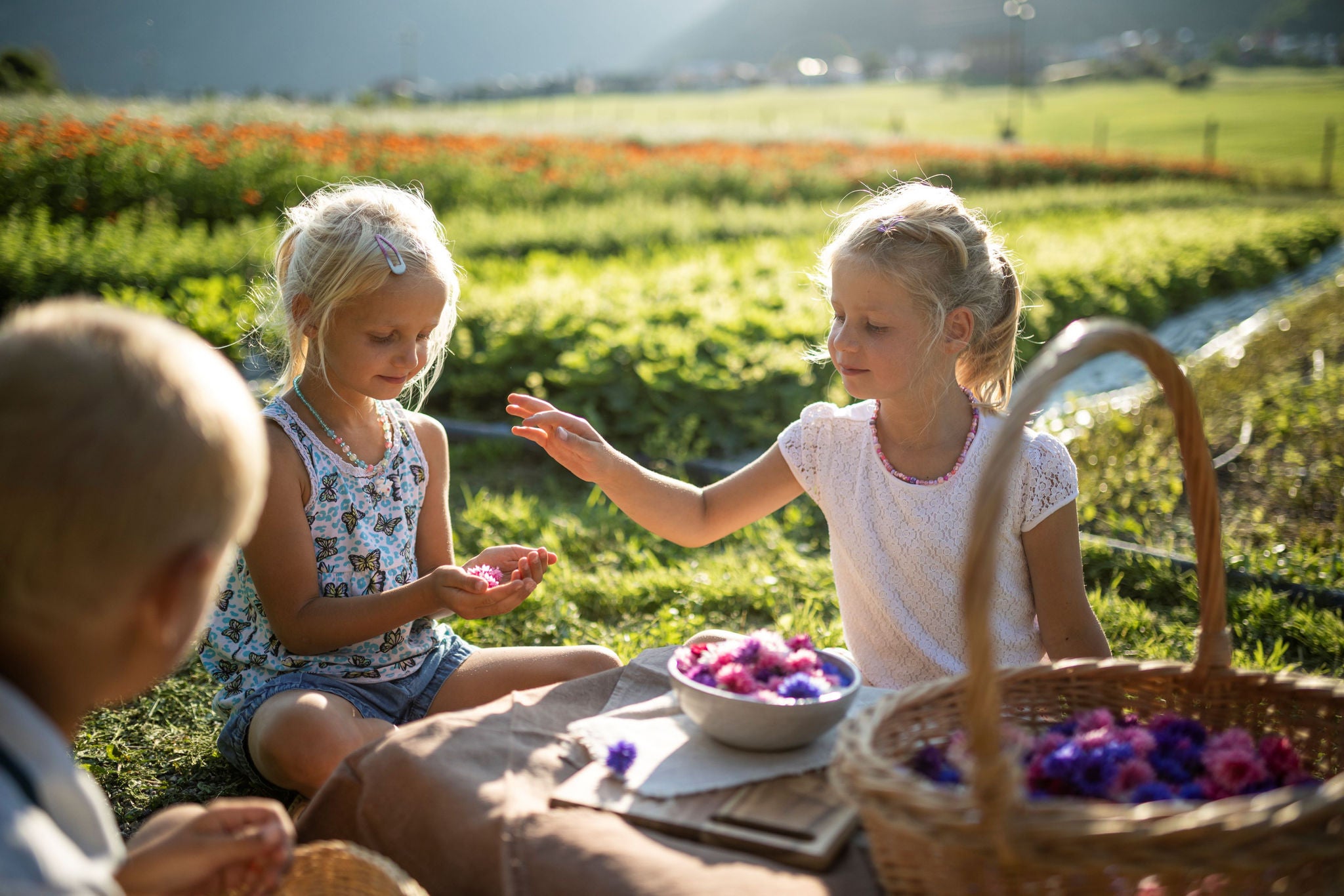 Drei Kinder spielen vor grün bepflanzten Beeten mit rosa- und lilafarbenen Blüten.