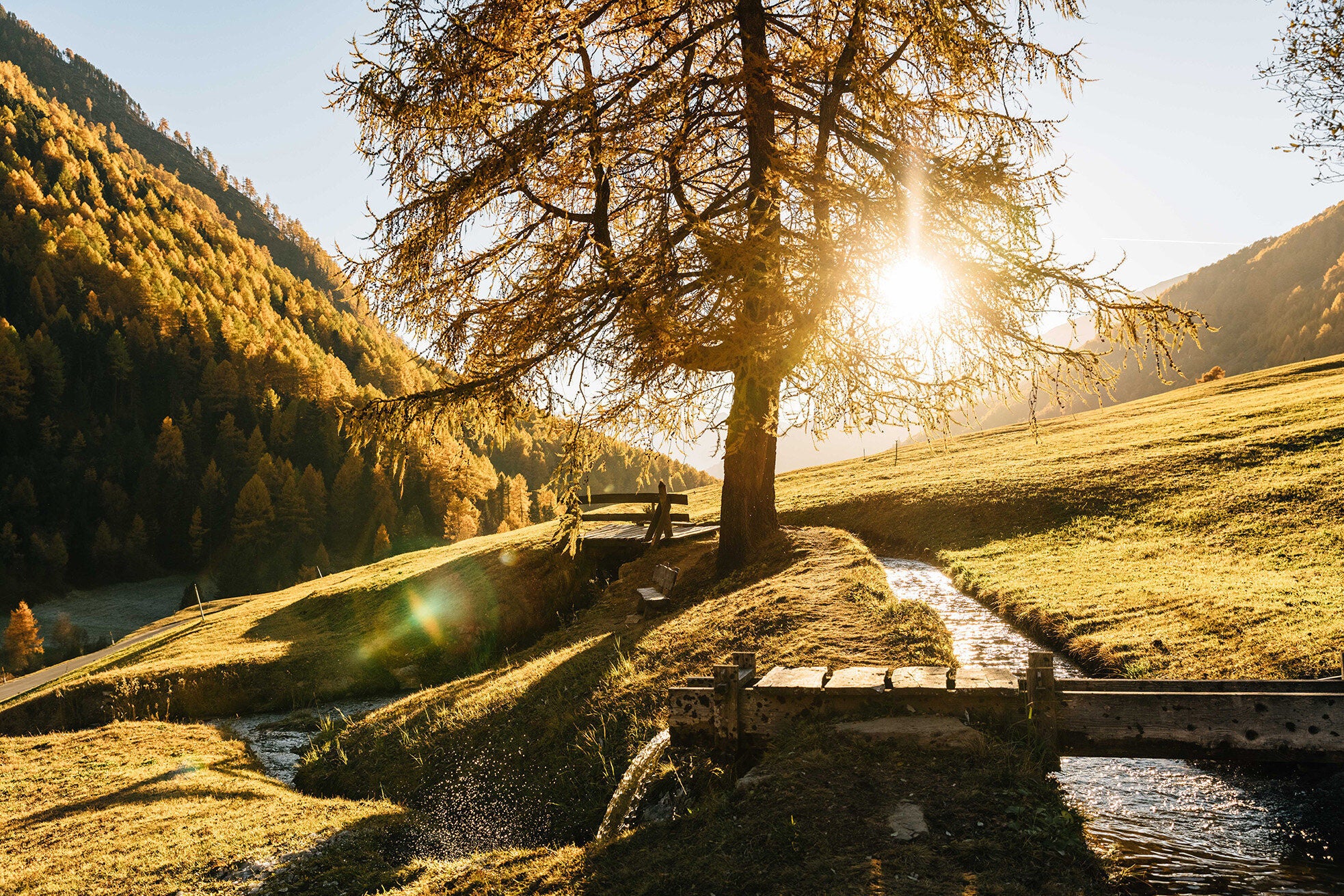 Achtsamskeitwanderung im naturbelassenen Rojental
